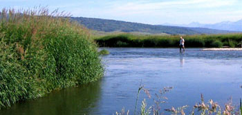 Fishing the confluence of Jackknife Creek with the Salt River